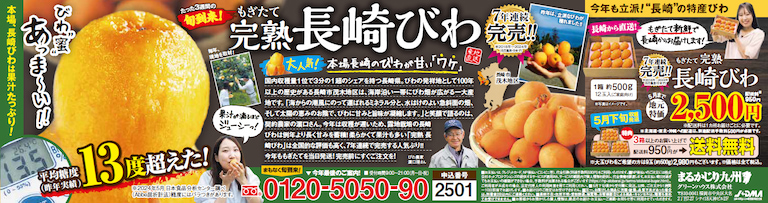 【長崎びわ】茂木びわなど旬の完熟びわを、名産地より産地直送でお届け