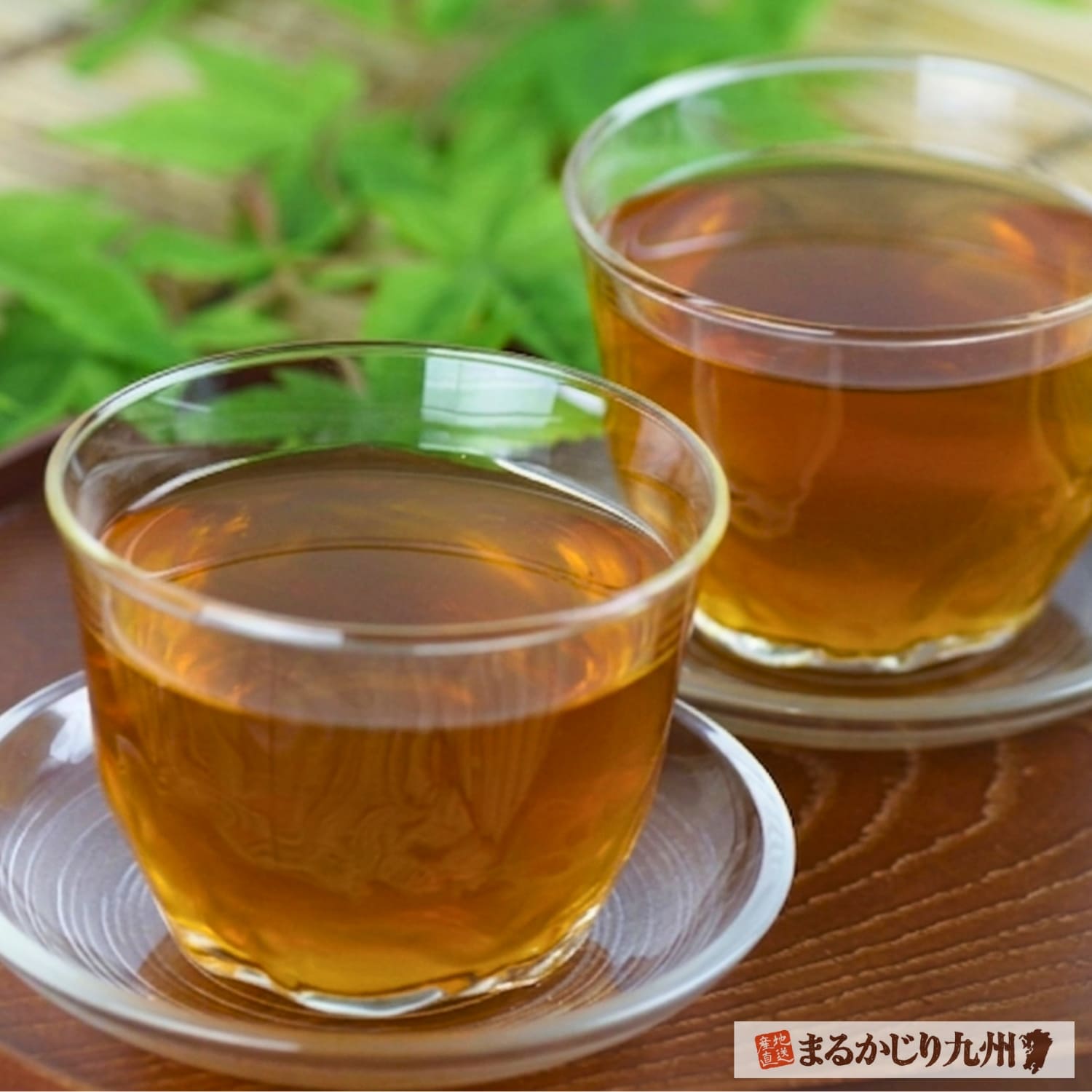 冷たいグラスに注いだ長崎びわ茶