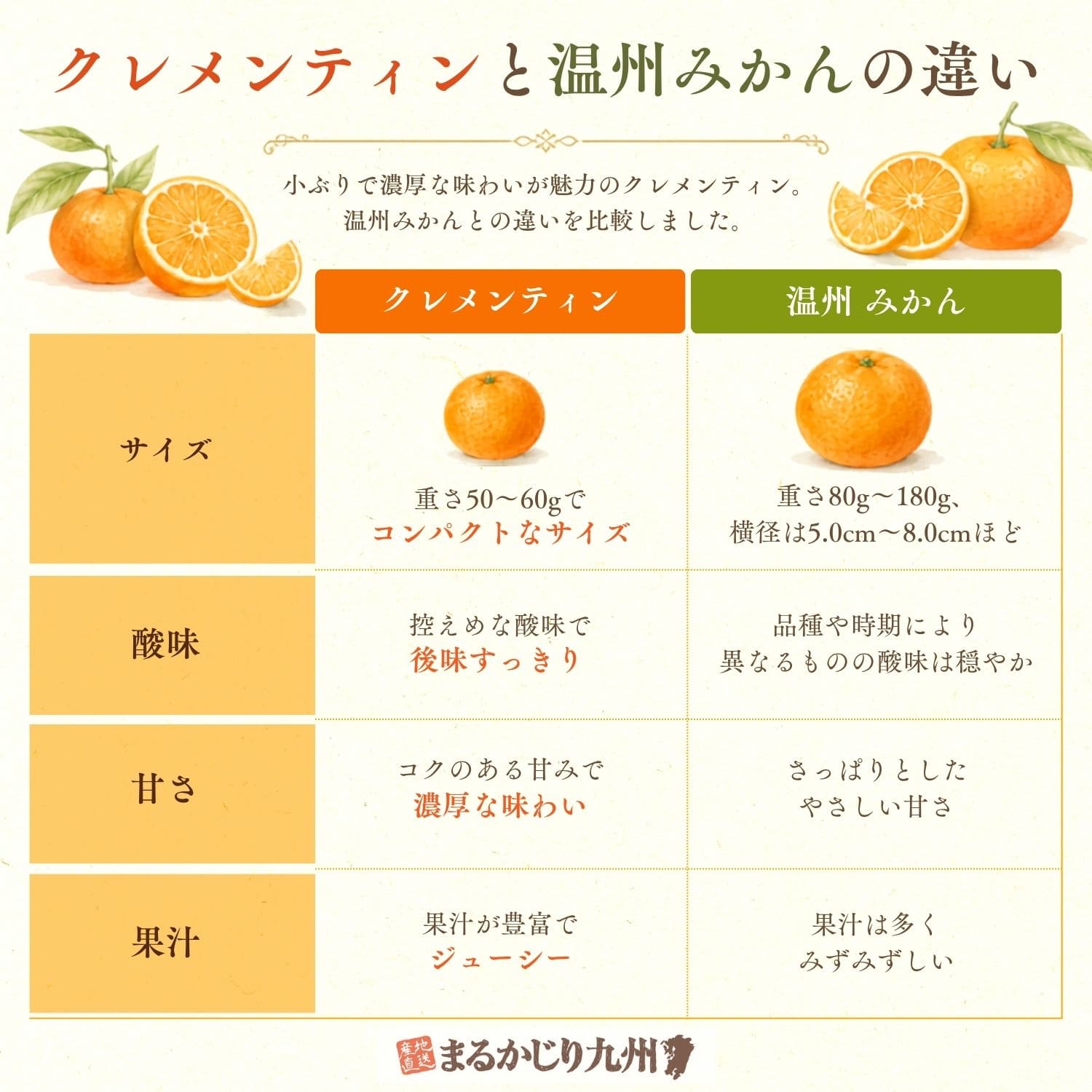 Clementine様確認用 クレメンティン】希少な柑橘を佐賀県太良町より通販でお取り寄せ