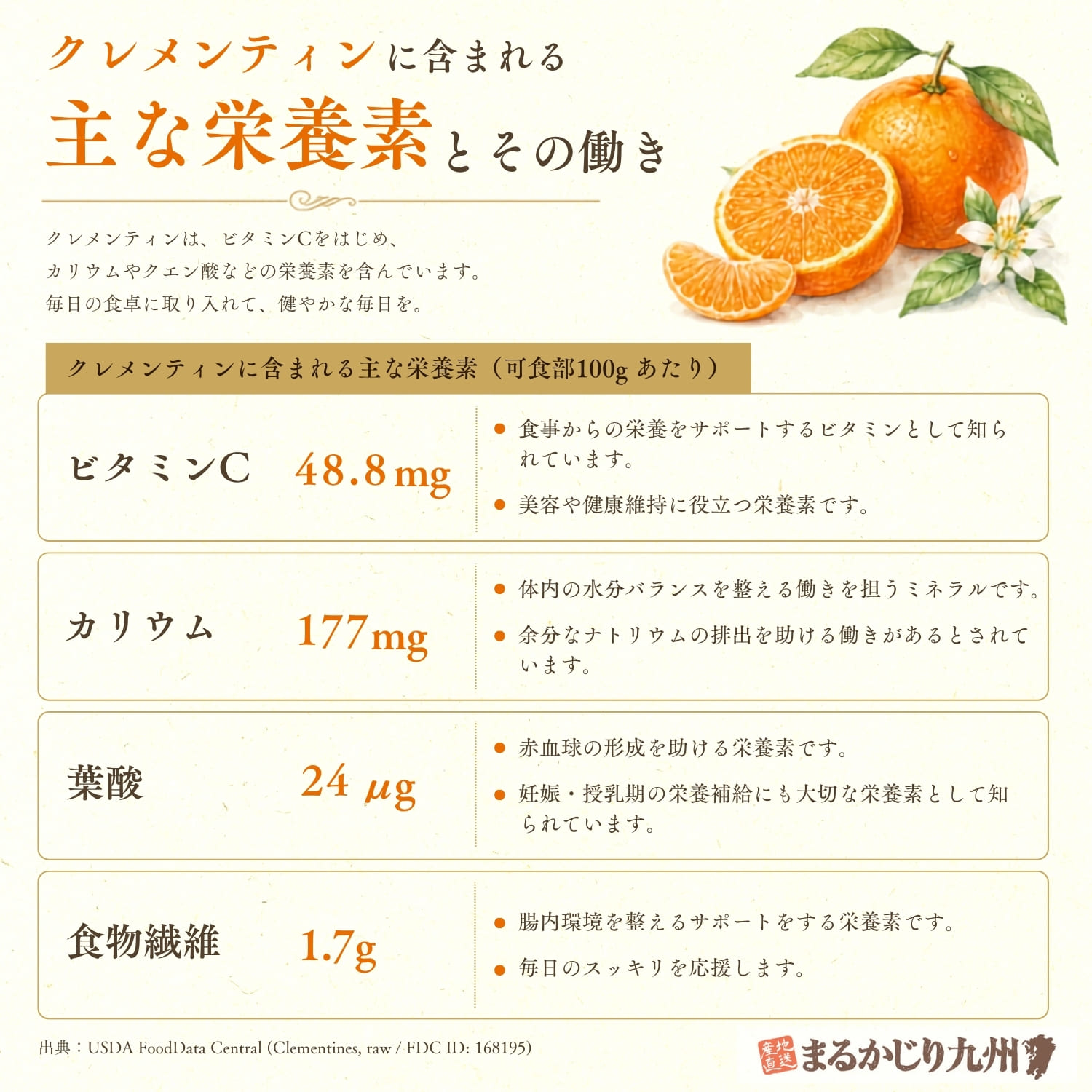 クレメンティンの栄養素：ビタミンC、食物繊維、カリウムなどの科学的根拠に基づいた成分紹介図