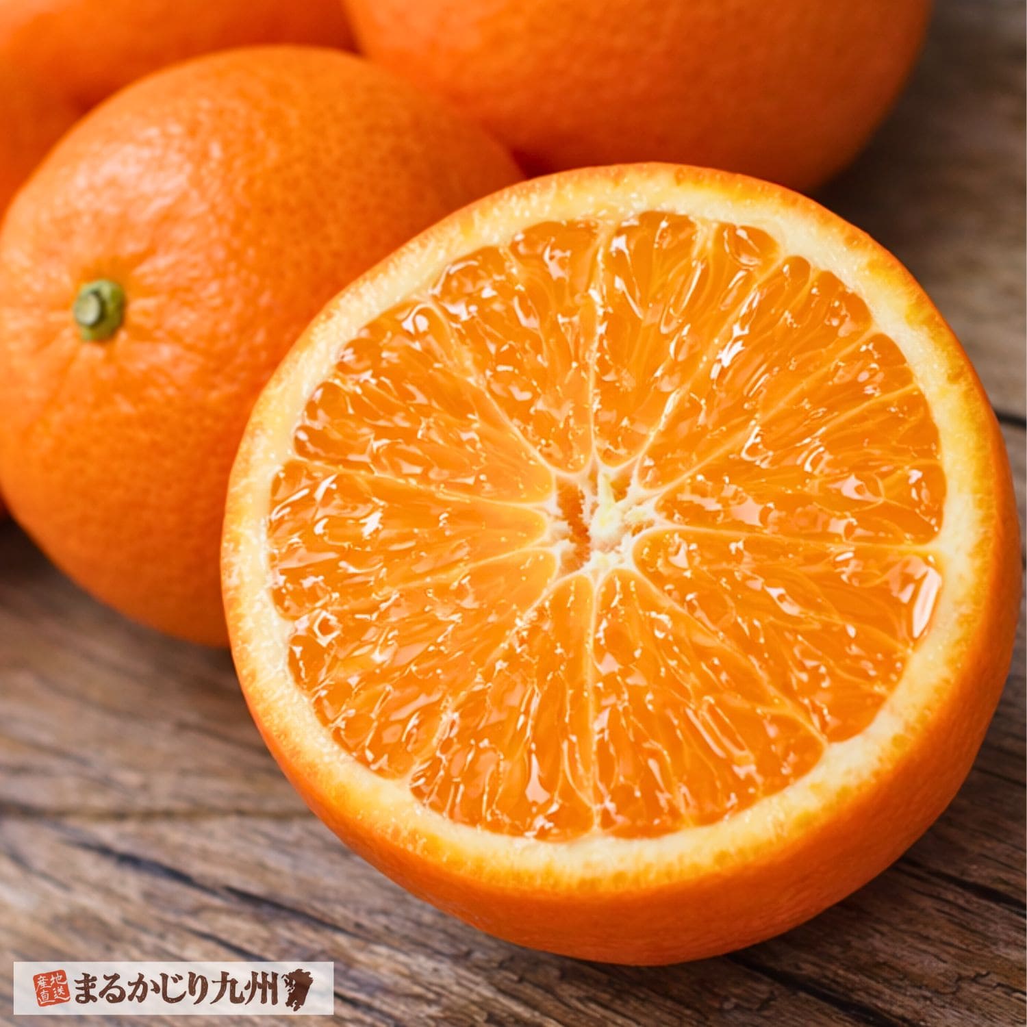 クレメンティン】希少な柑橘を佐賀県太良町より通販でお取り寄せ