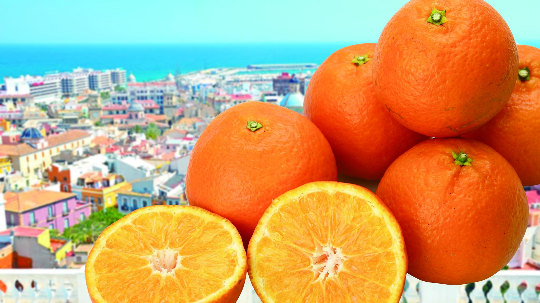 希少な柑橘類であるクレメンテインを佐賀県太良町から通販でお取り寄せ。