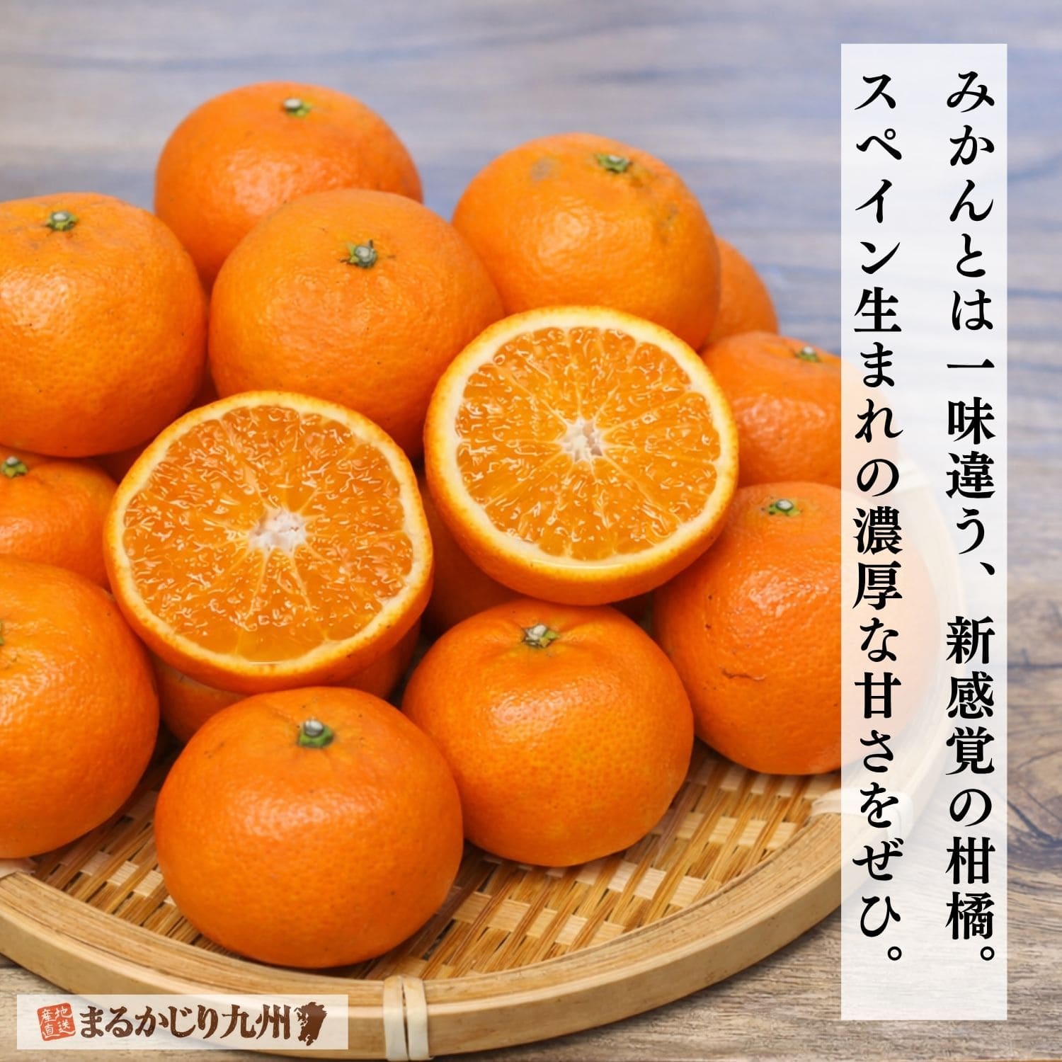 クレメンティン】希少な柑橘を佐賀県太良町より通販でお取り寄せ