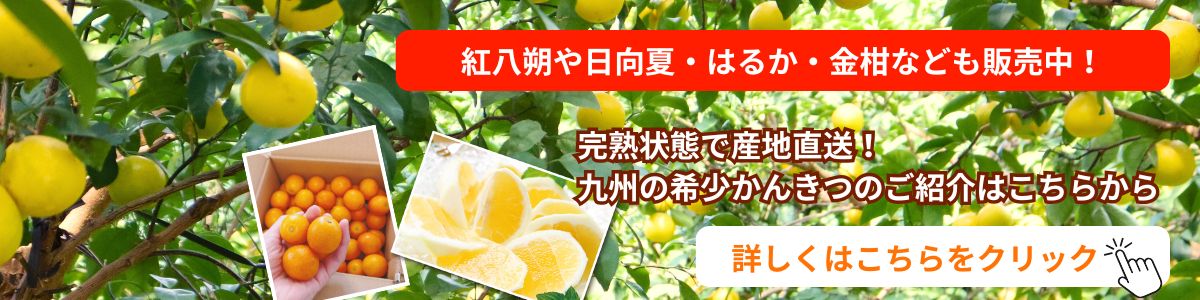 柑橘特集リンク