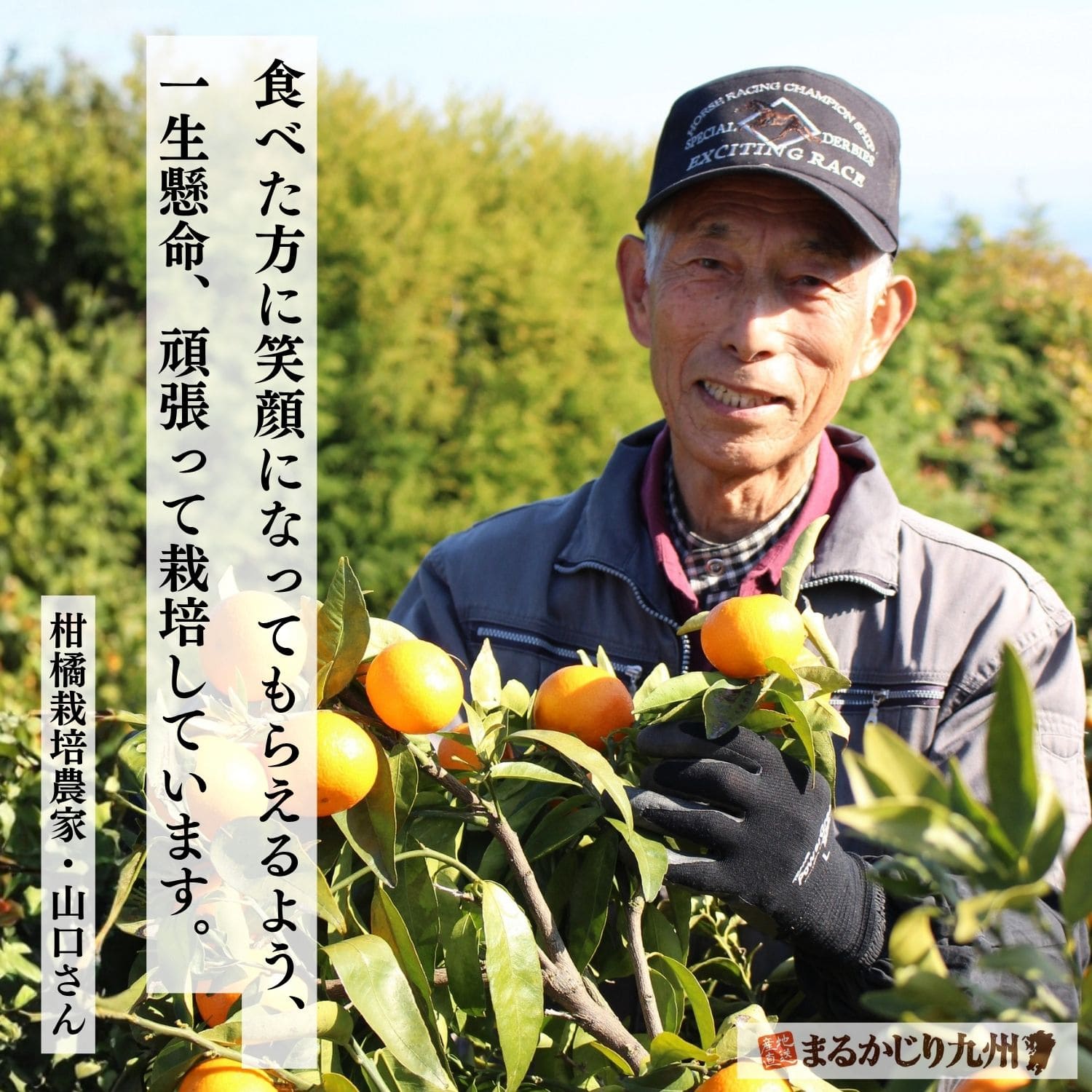 クレメンティン】希少な柑橘を佐賀県太良町より通販でお取り寄せ