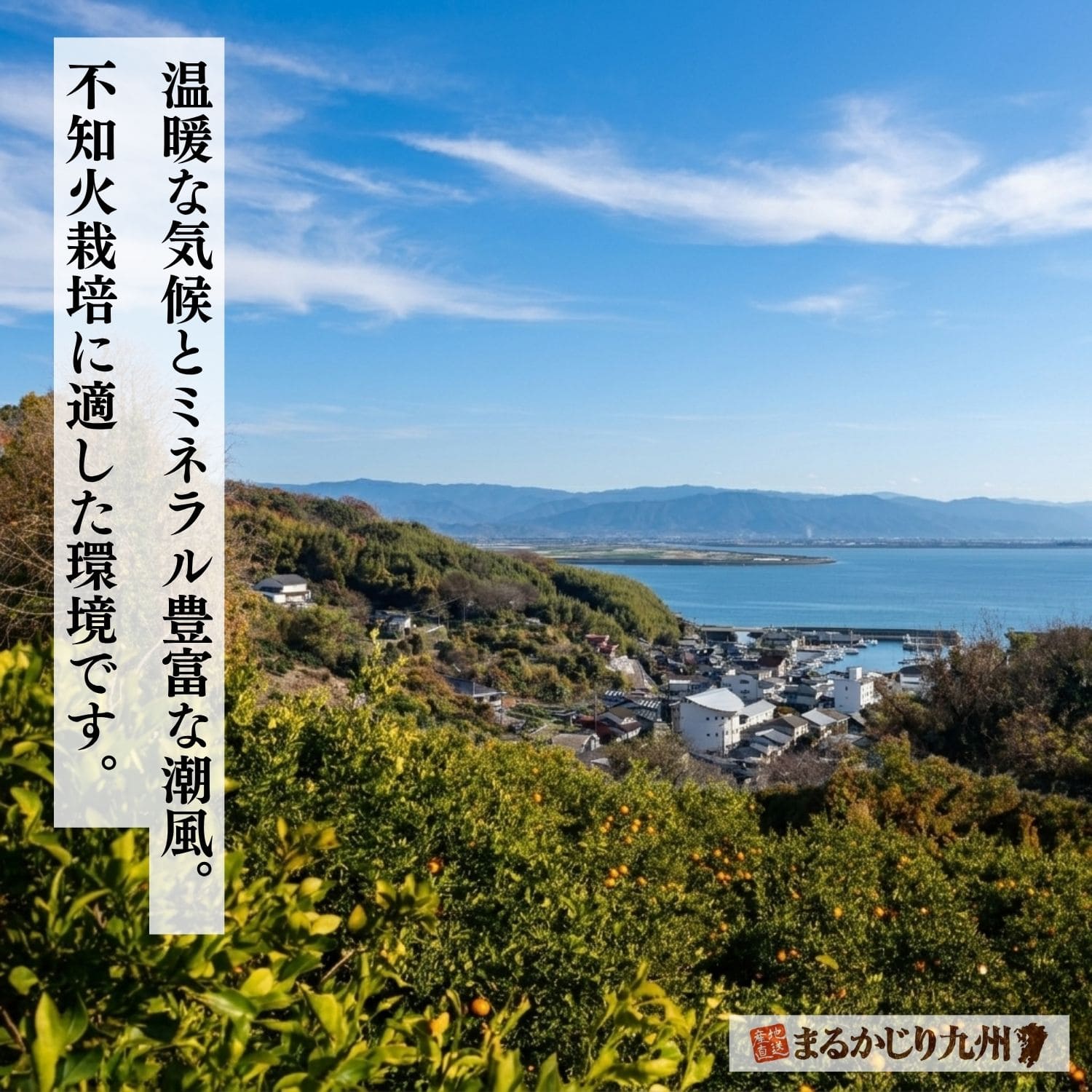 佐賀県太良町の温暖な沿岸部