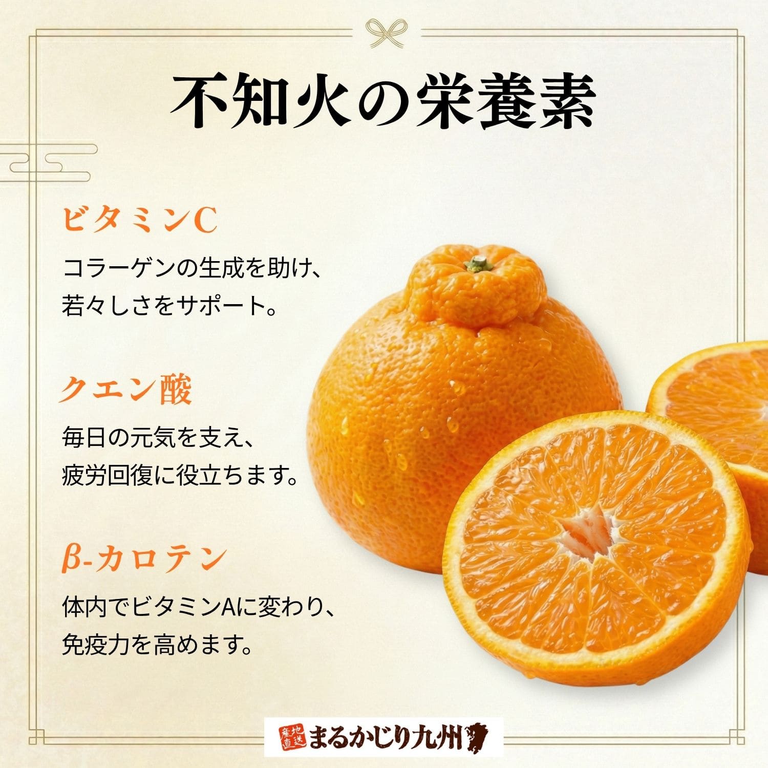 不知火の栄養素