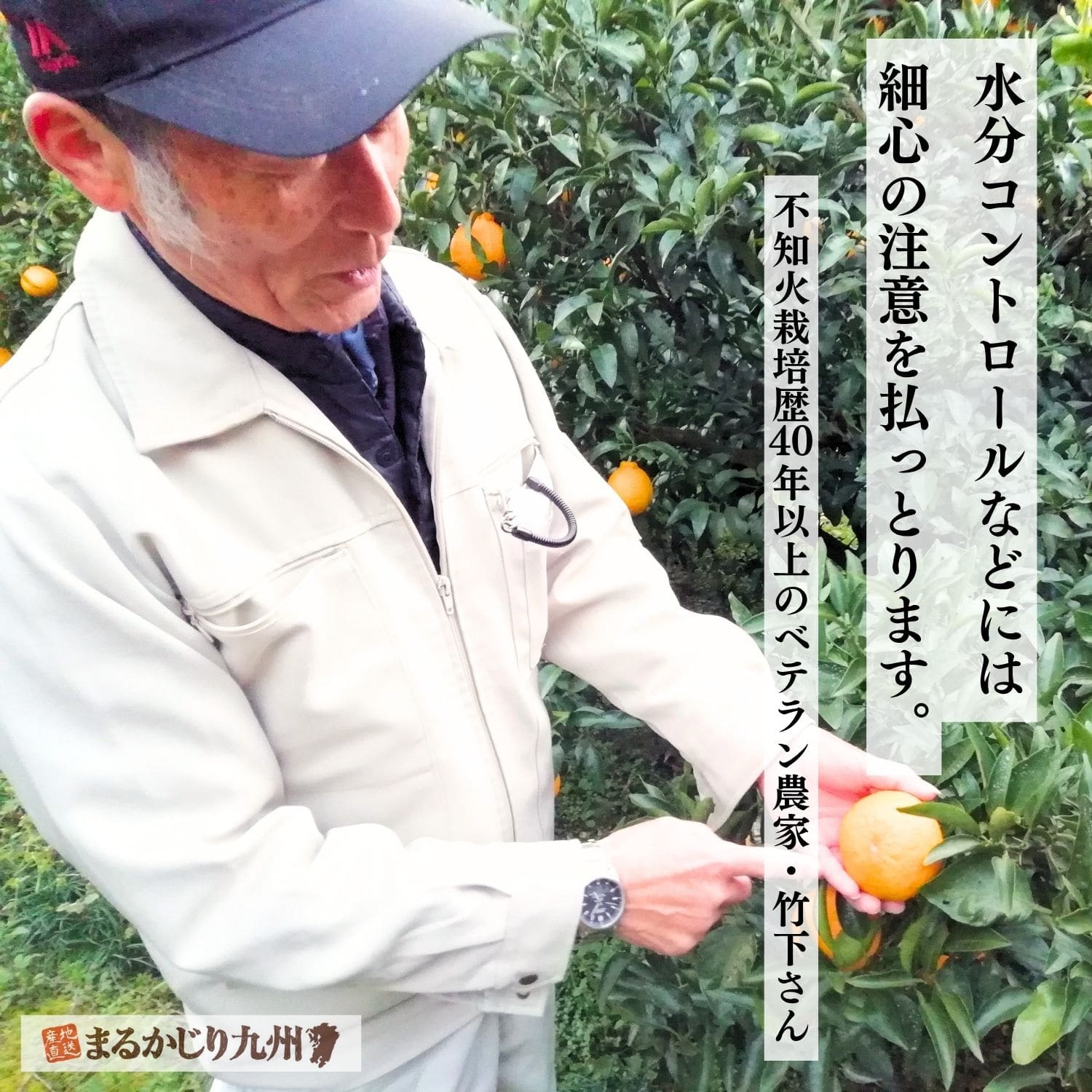 契約農家の竹下さん