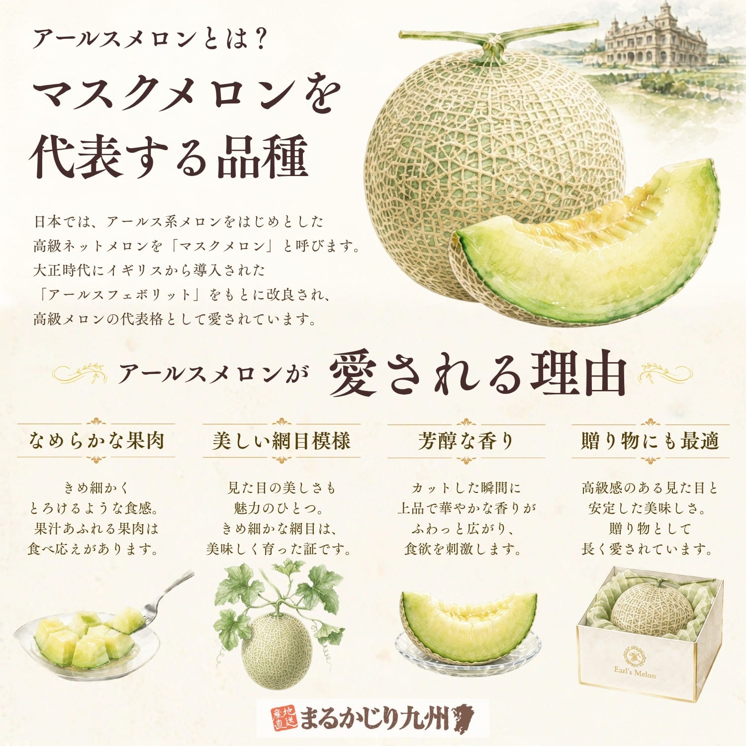 アールスメロンの特徴を紹介したインフォグラフィック