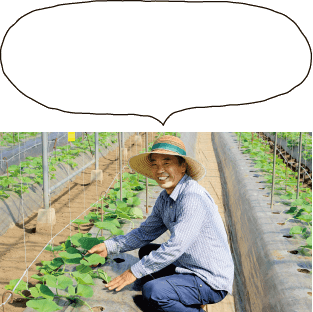 契約農家の高木さん