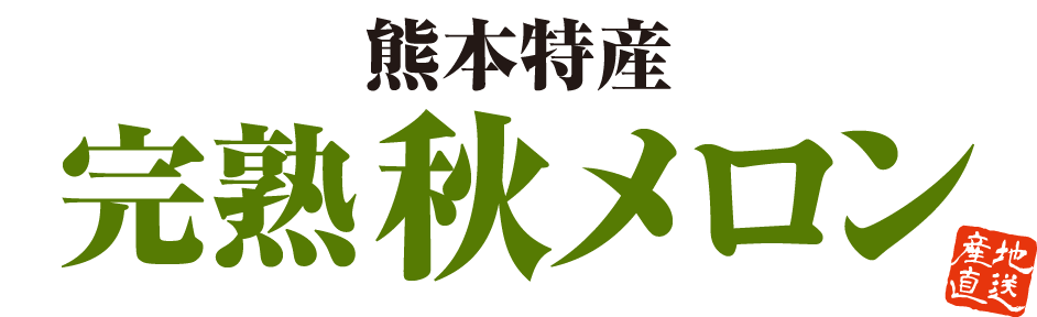 熊本特産 秋メロン