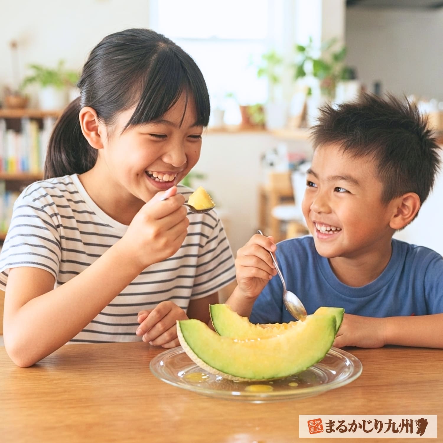 完熟秋メロンを美味しそうに食べる日本人の小学生の姉弟