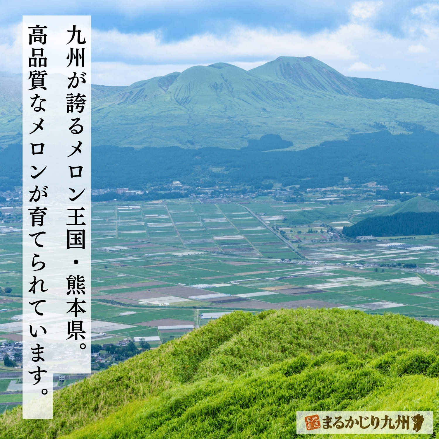 阿蘇山を望む熊本県の豊かな自然風景