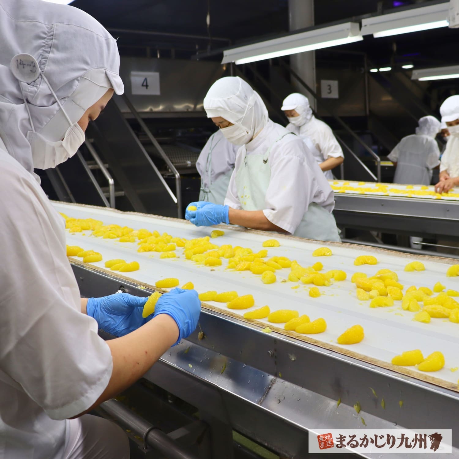 果肉を丁寧に加工するフルーツゼリーの製造工程