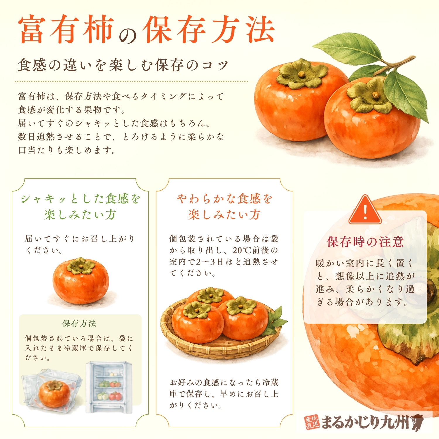 富有柿（ふゆうがき）】美味しい甘柿の人気No.1品種を福岡県より産地