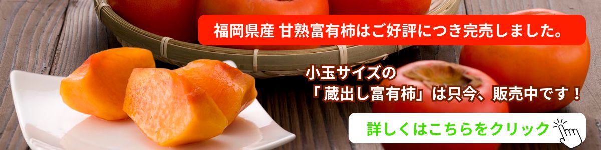 まだまだ注文可能な蔵出し富有柿（ひとくち富有柿）も受付中