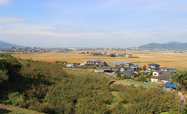 柿畑から望む田主丸地域。肥沃な筑後平野の土壌が美味しい柿やフルーツを育んでいます。