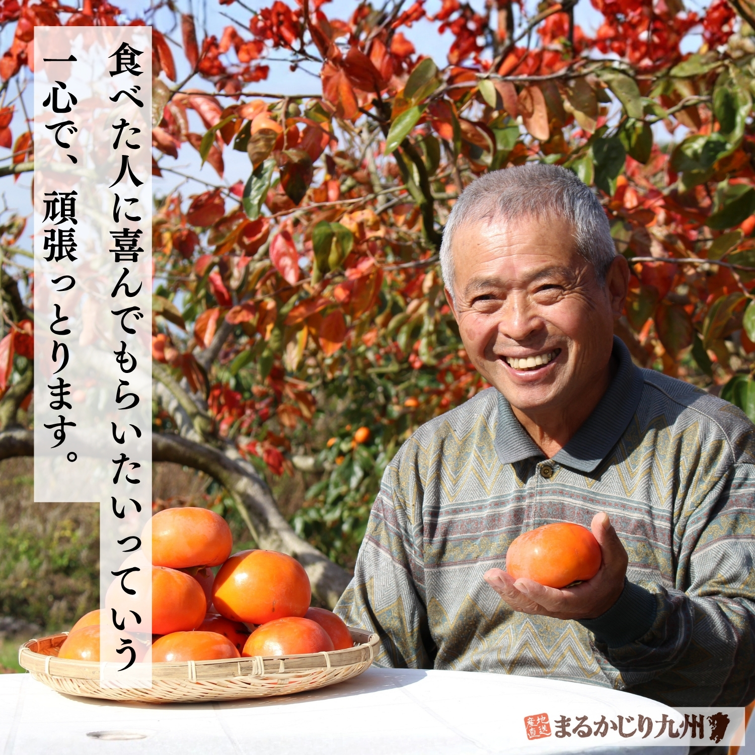 【高級甘柿・大玉】福岡県杷木産ブランド 富有柿 9kg 富有柿（ふゆうがき）】美味しい甘柿の人気No.1品種を福岡県より産地