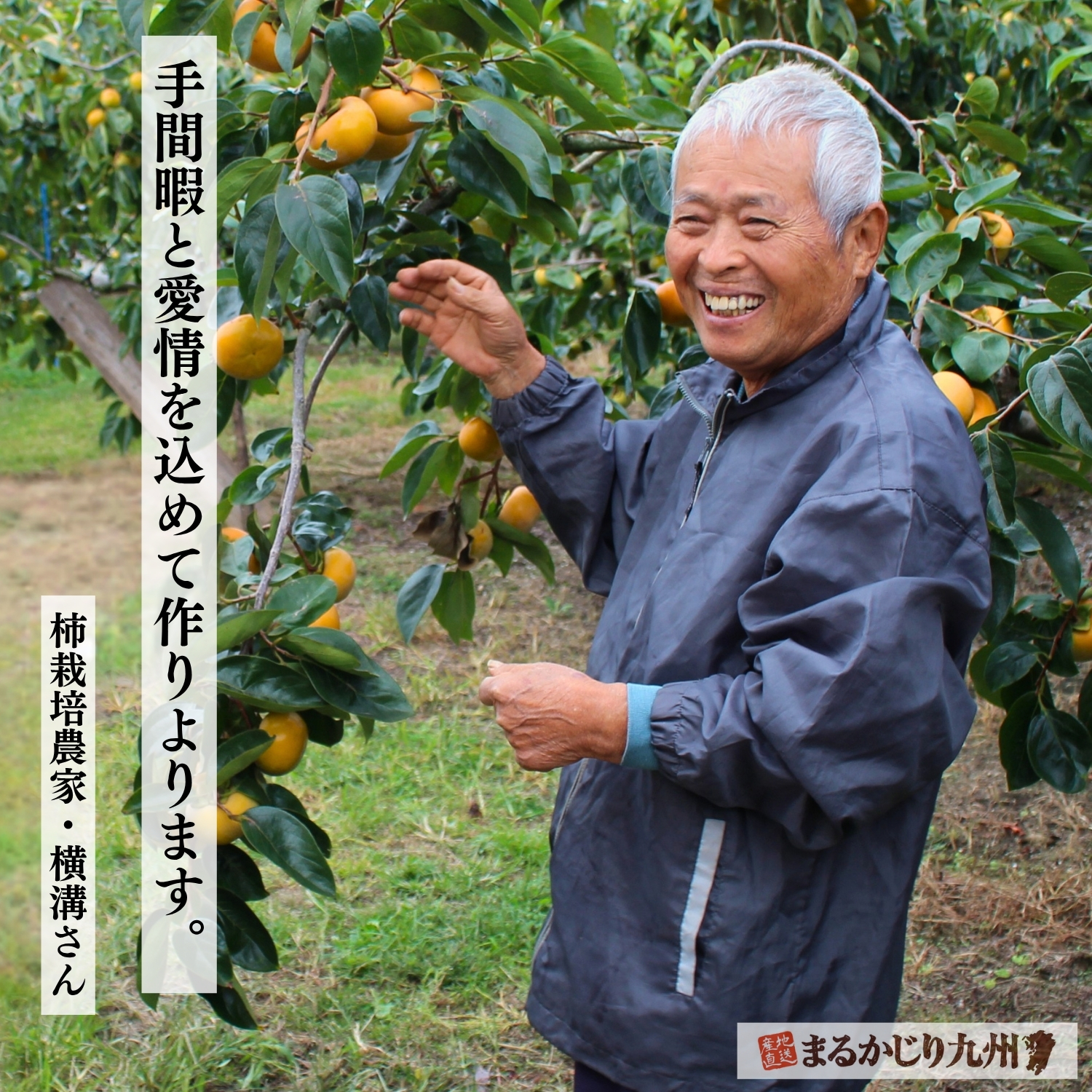 富有柿について語る契約農家の横溝さん