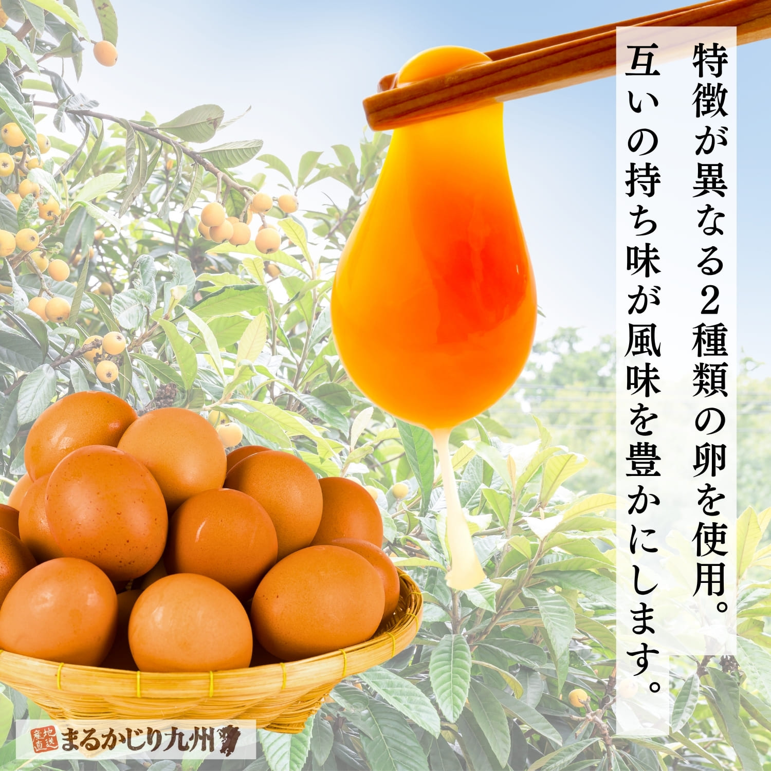 五三焼カステラに使用するたまごのイメージ