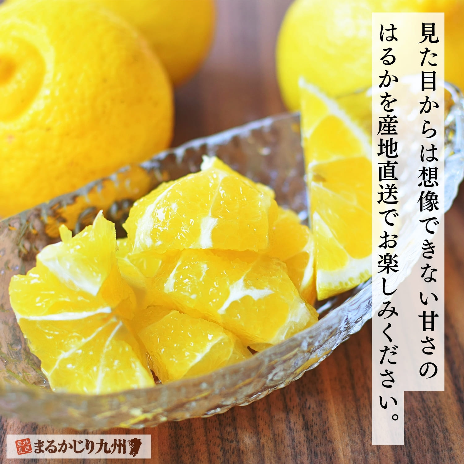 はるかみかん】奇跡のみかんと呼ばれる柑橘「はるか」を佐賀県より通販