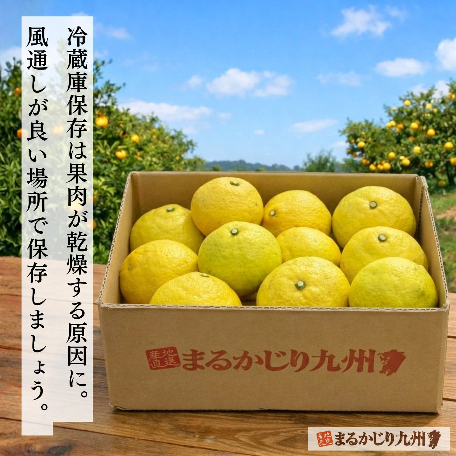 箱詰めされて発送を待つ佐賀県産完熟はるかみかん