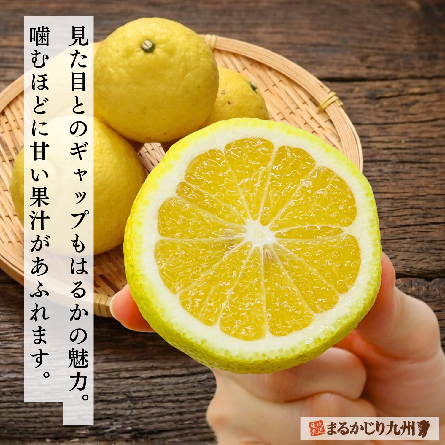 はるかみかん】奇跡のみかんと呼ばれる柑橘「はるか」を佐賀県より通販