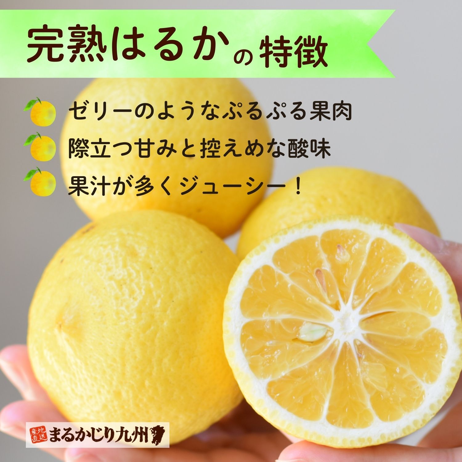 はるかみかんの特徴はゼリーのようなぷるぷる果肉とリング状のくぼみ味はハニーレモンと表現されるほどの甘みがあります。