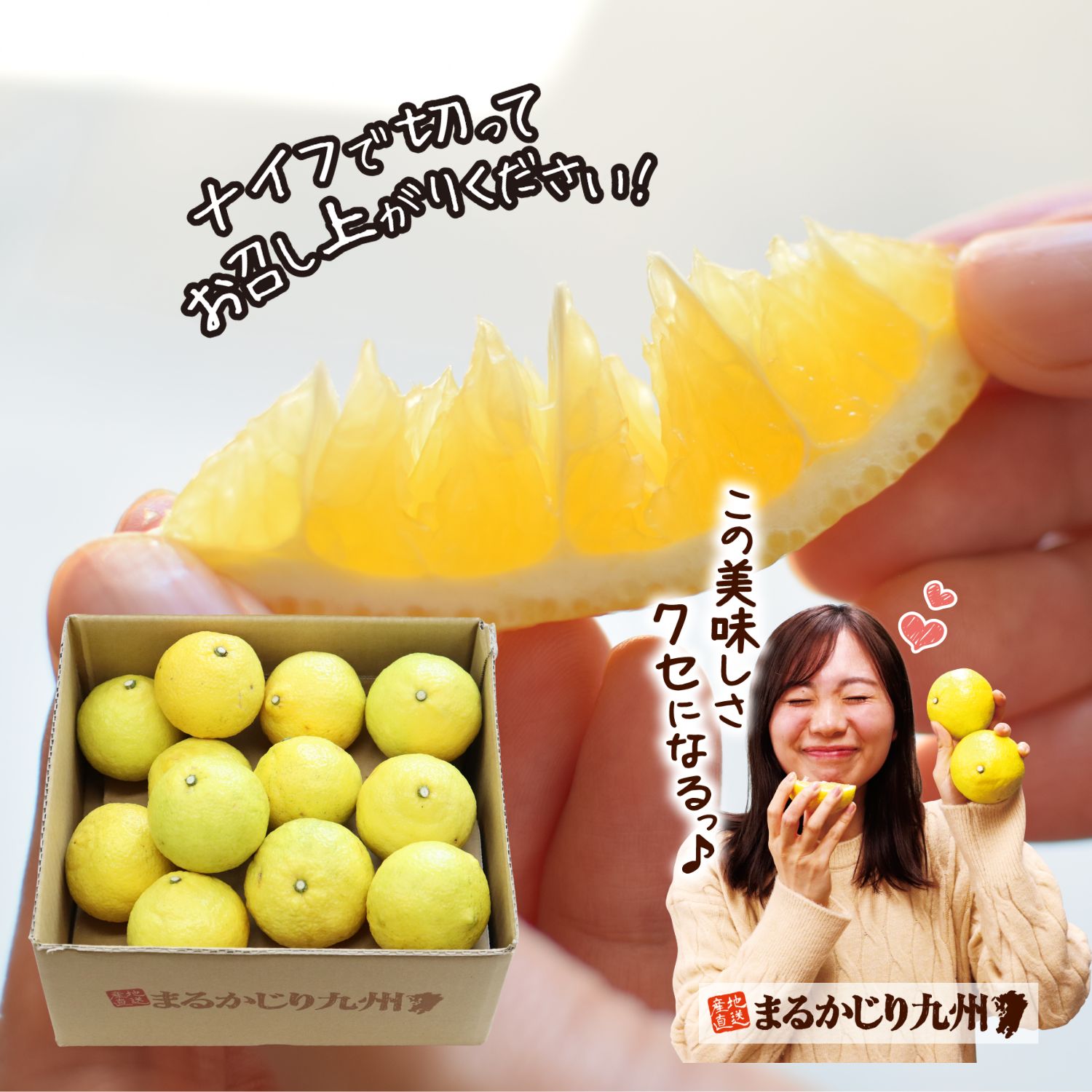 はるか】奇跡のみかんと呼ばれる柑橘を佐賀県より通販でお取り寄せ