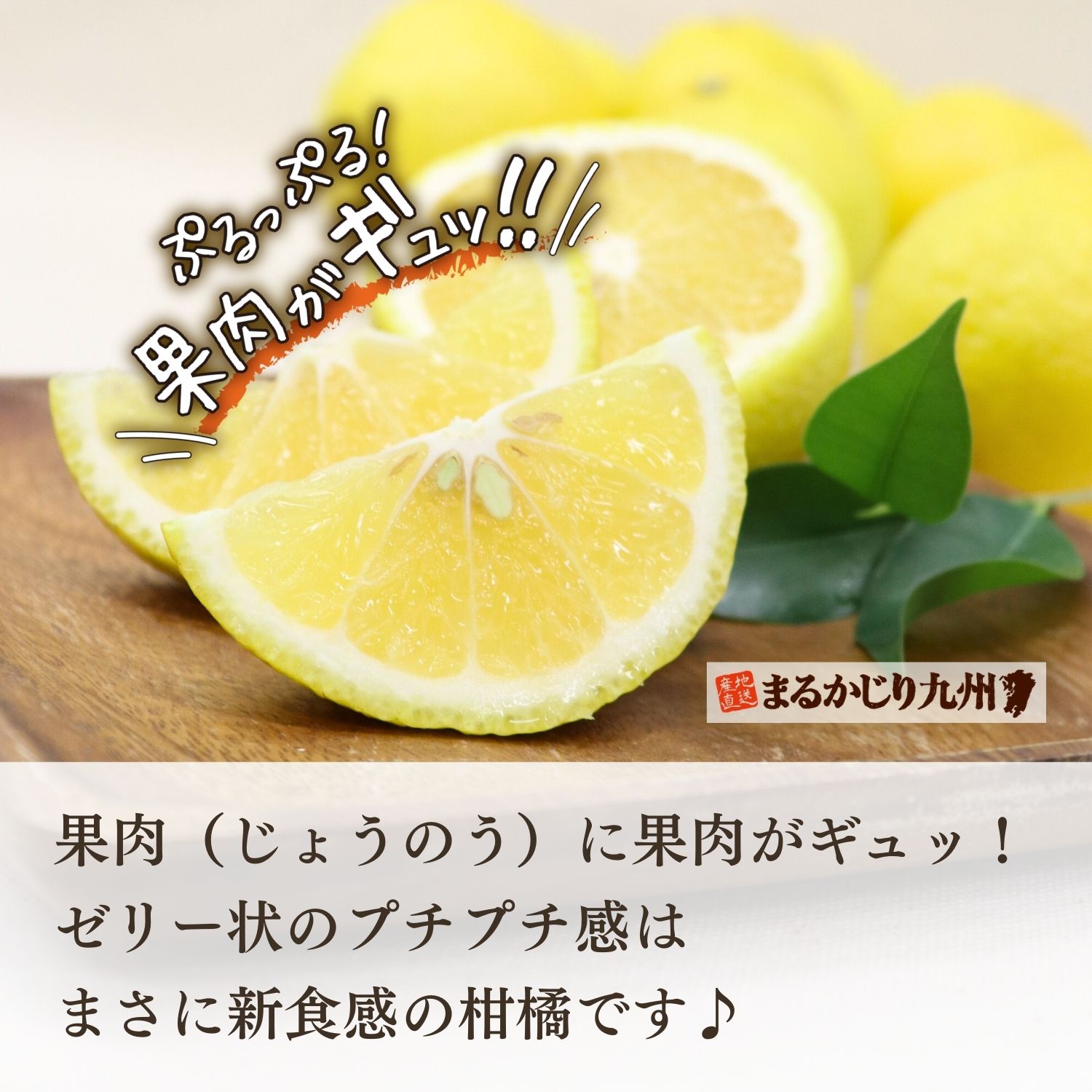 ぷるぷる果肉が特徴のはるかみかんを産直でお届けします