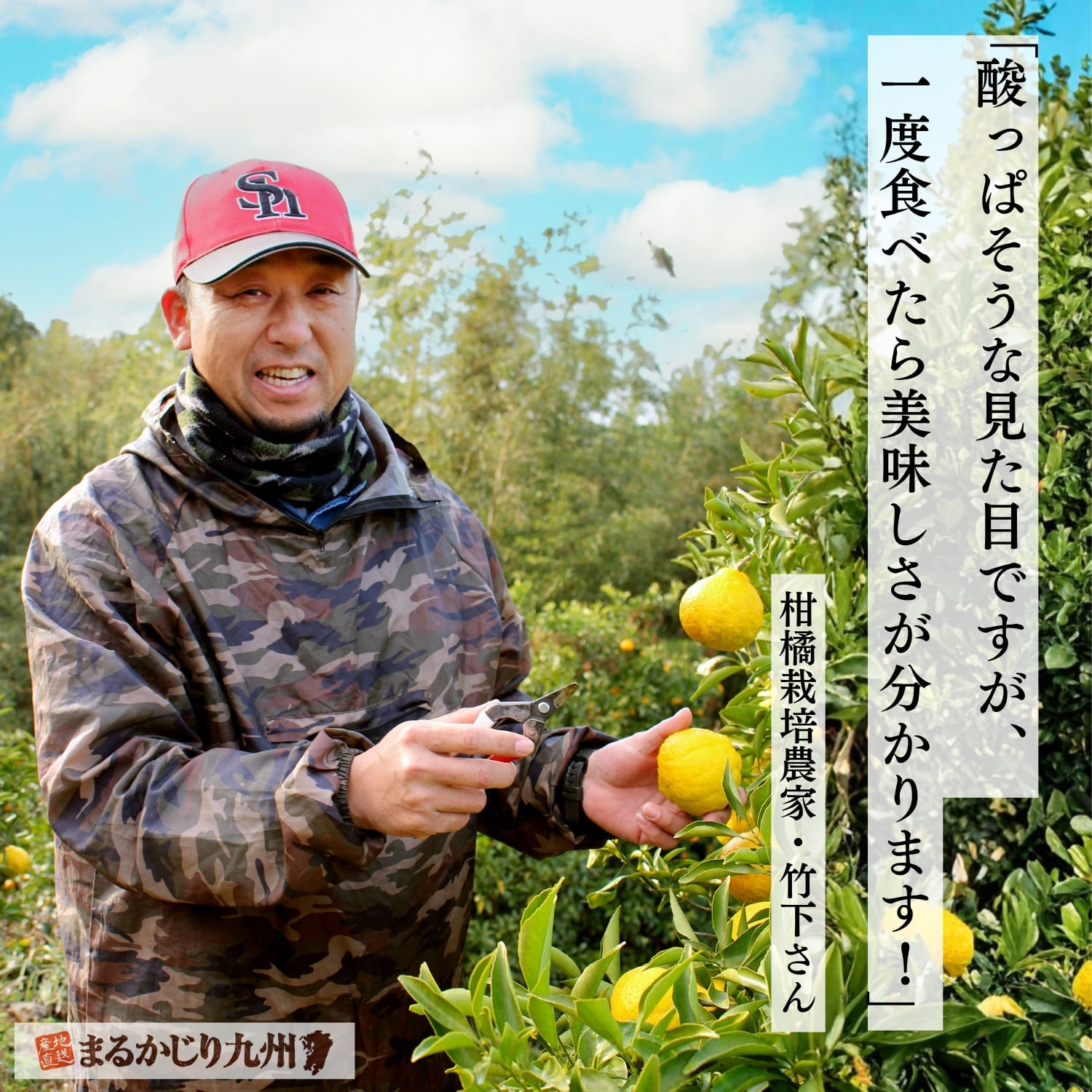 佐賀県太良町で完熟はるかみかんを栽培する生産者、竹下巧さん