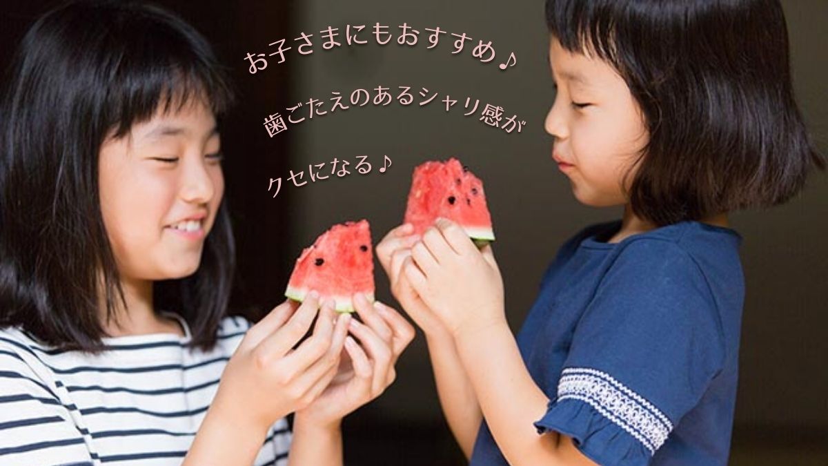 熊本産小玉スイカの「ひとりじめ」は甘さが濃厚で、子供にも大人気です。お孫さんやお子さんへのプレゼント、ギフト、贈答にもオススメです。