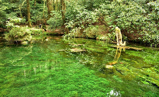 写真は近隣の菊地水源。小玉スイカの名産地である熊本には美味しい水が豊富に湧き出しています。