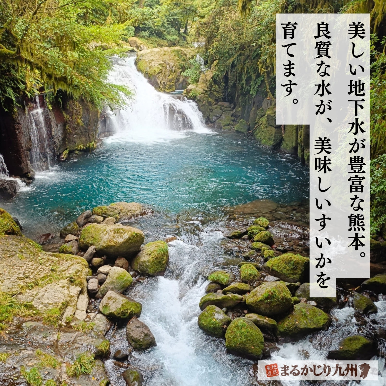 熊本の豊かな水源