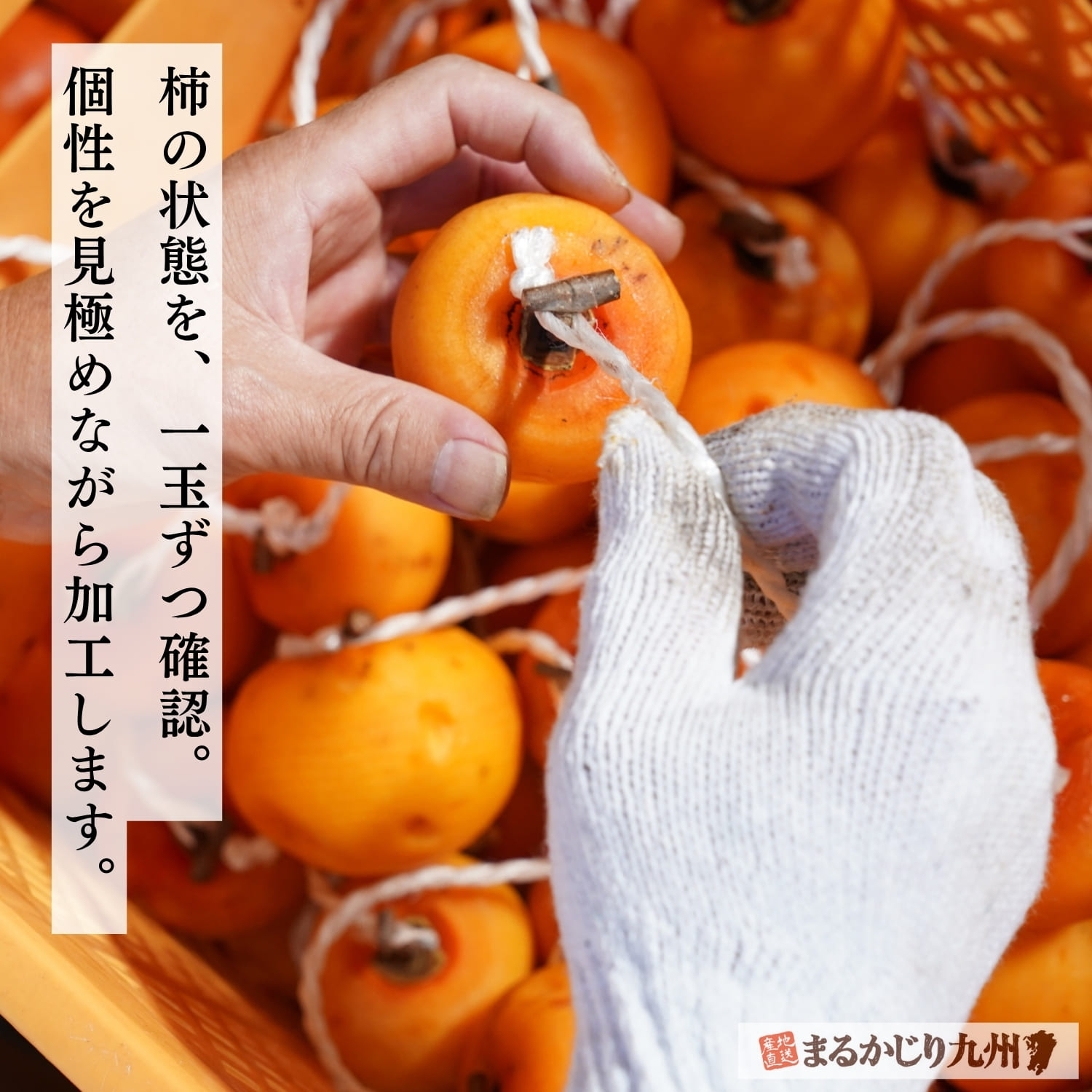 一粒ずつ丁寧に仕上げた熊本県産干し柿 里のあかり