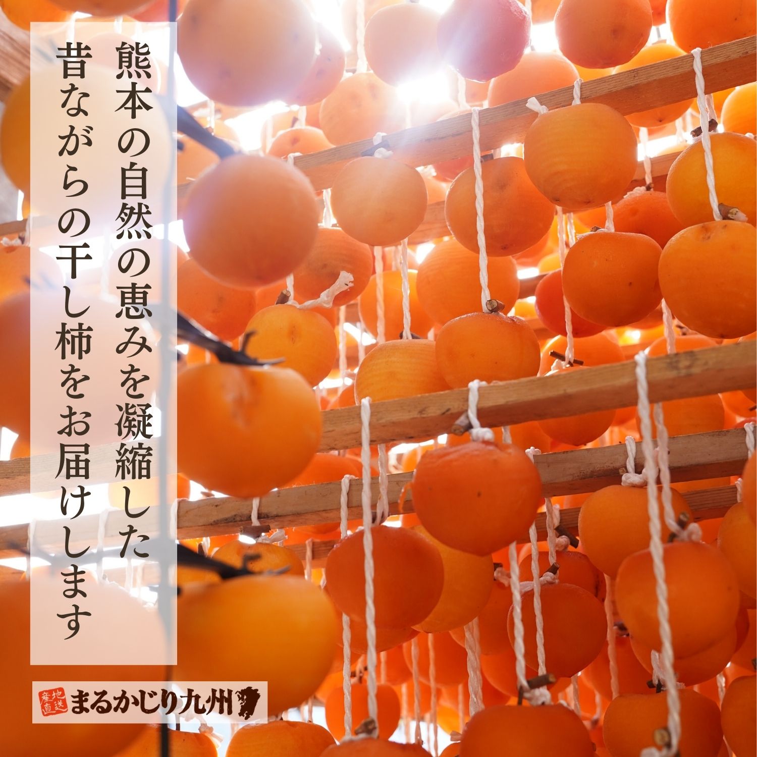 熊本県美里町で50年にわたり干し柿づくりをされている、職人の宮崎さん