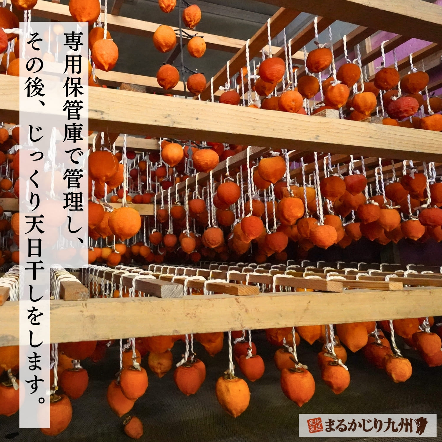 熊本県産干し柿 里のあかりの製造工程