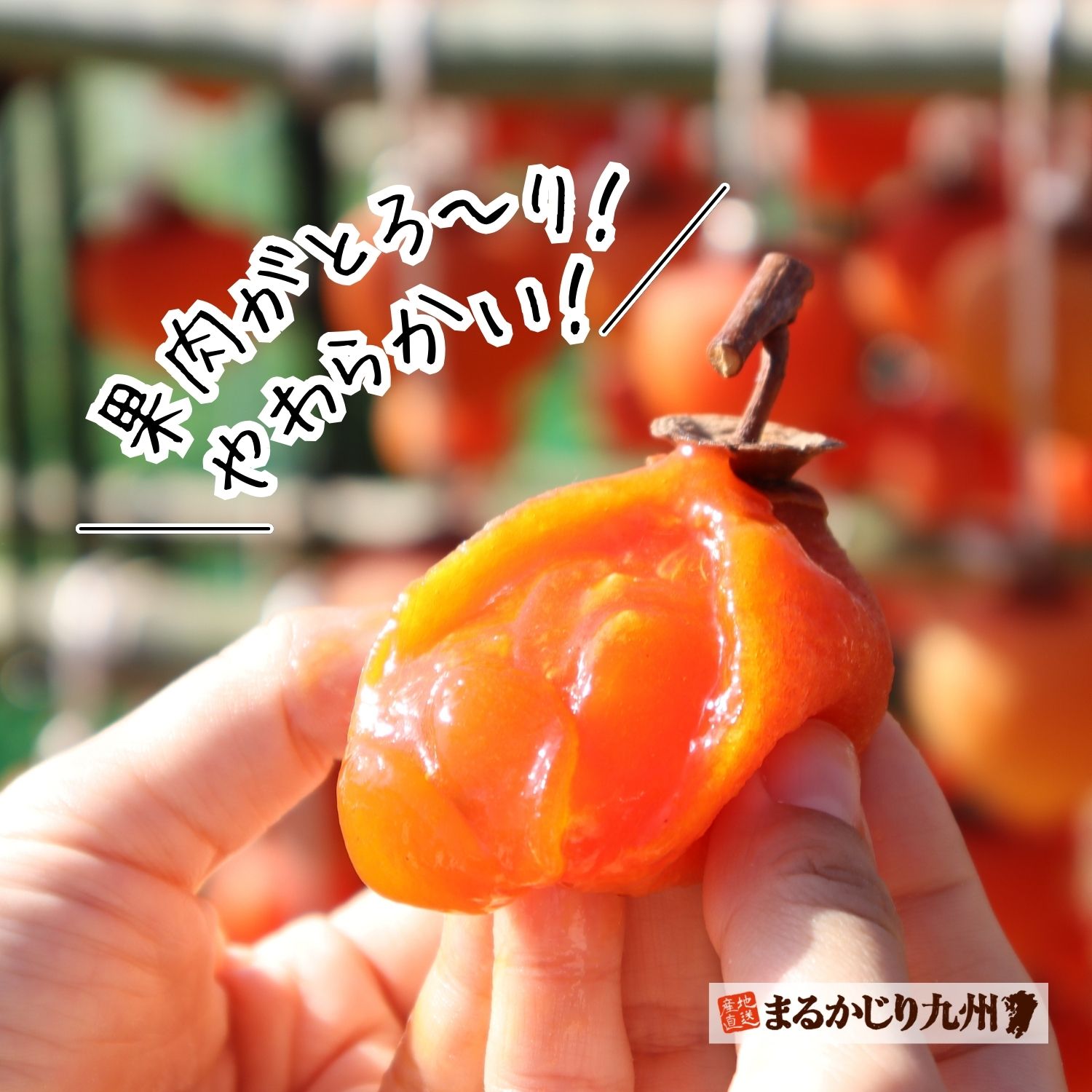 柿の美味しさを凝縮した、贅沢な味わいの干し柿です