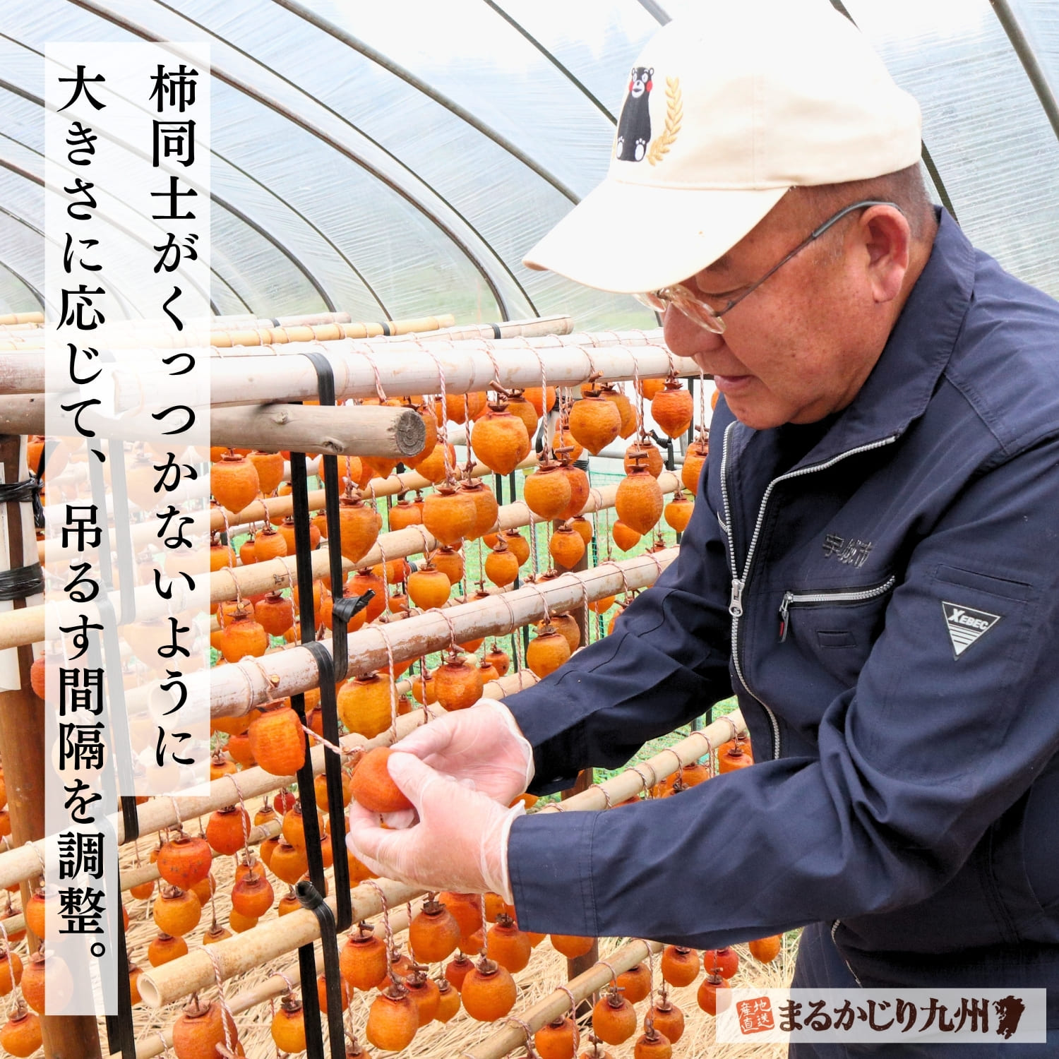 熊本県宇城市豊野町で干し柿を一つずつ紐にかける手作業