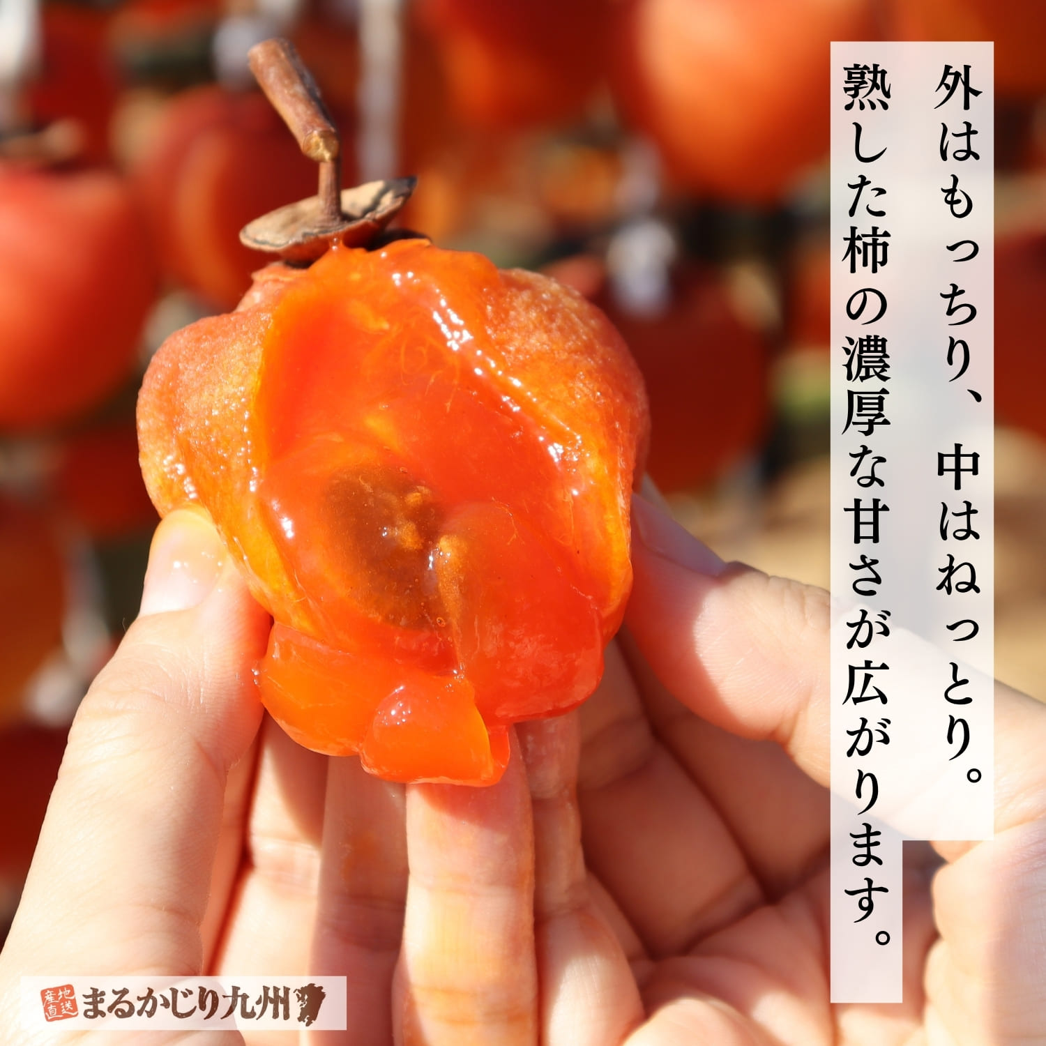 熊本名物干し蜜柿を割った断面と柔らかな果肉