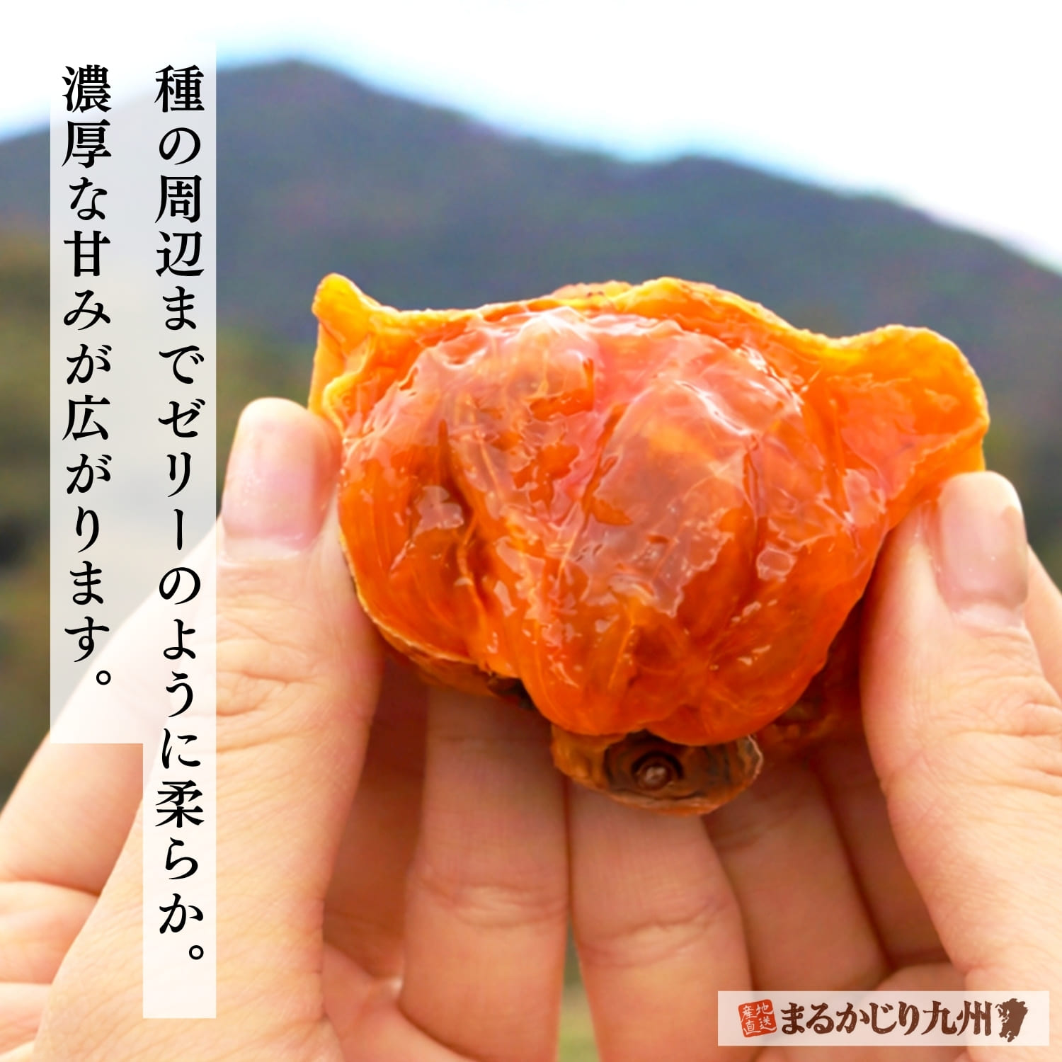 割った干し蜜柿からとろっとしたゼリー状の果肉が現れる様子