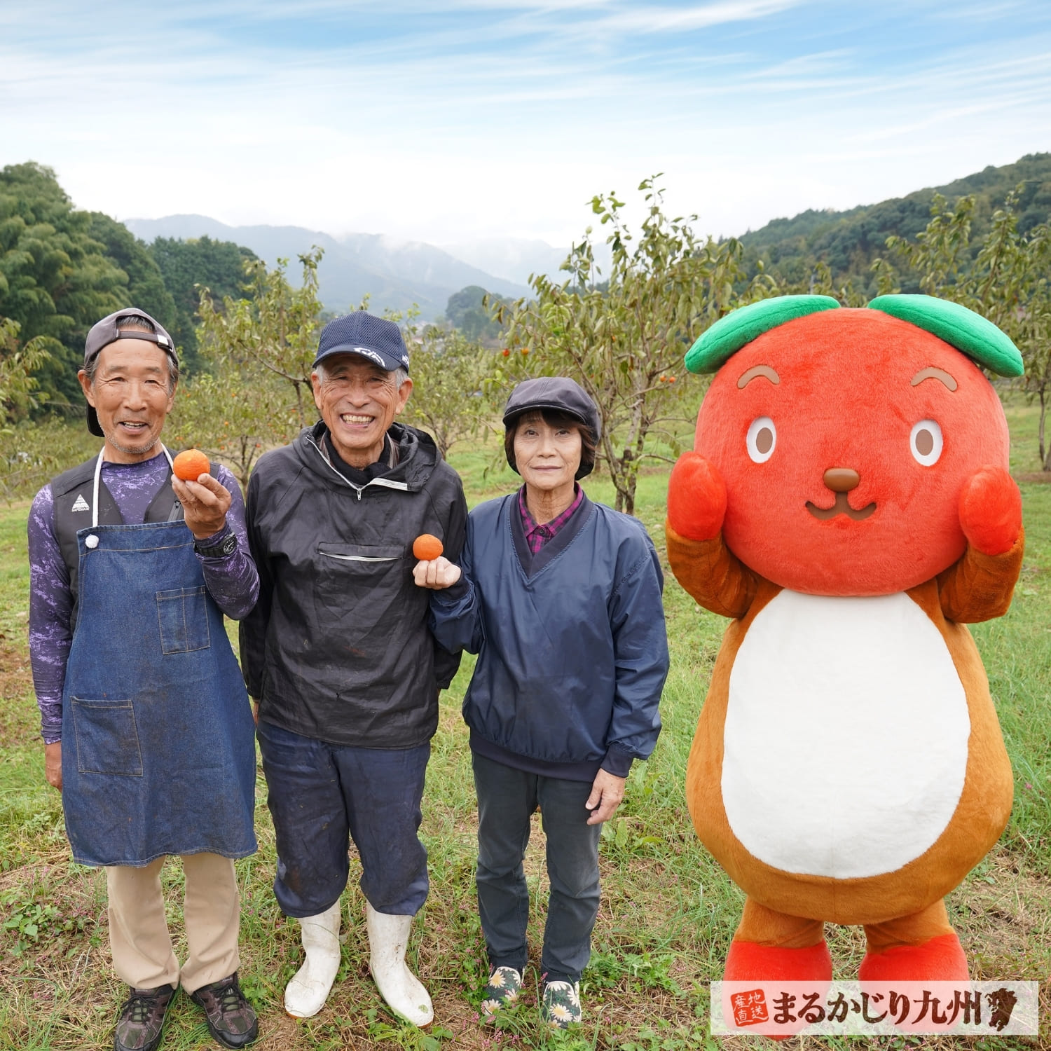 福岡県香春町で作られた福岡名物 干し蜜柿を産地直送でお取り寄せ