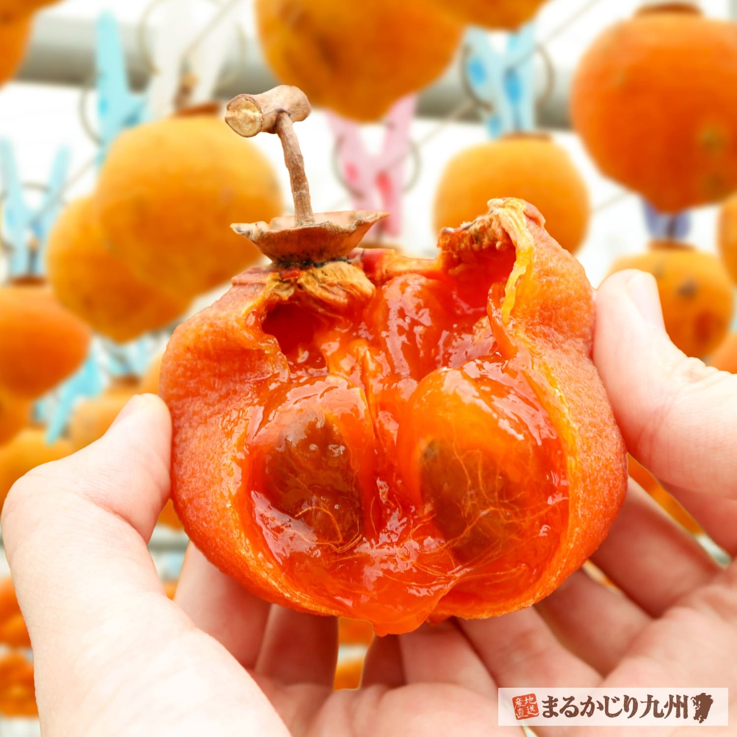 福岡県香春町の干し蜜柿を割ると現れるとろっとしたゼリーのような果肉