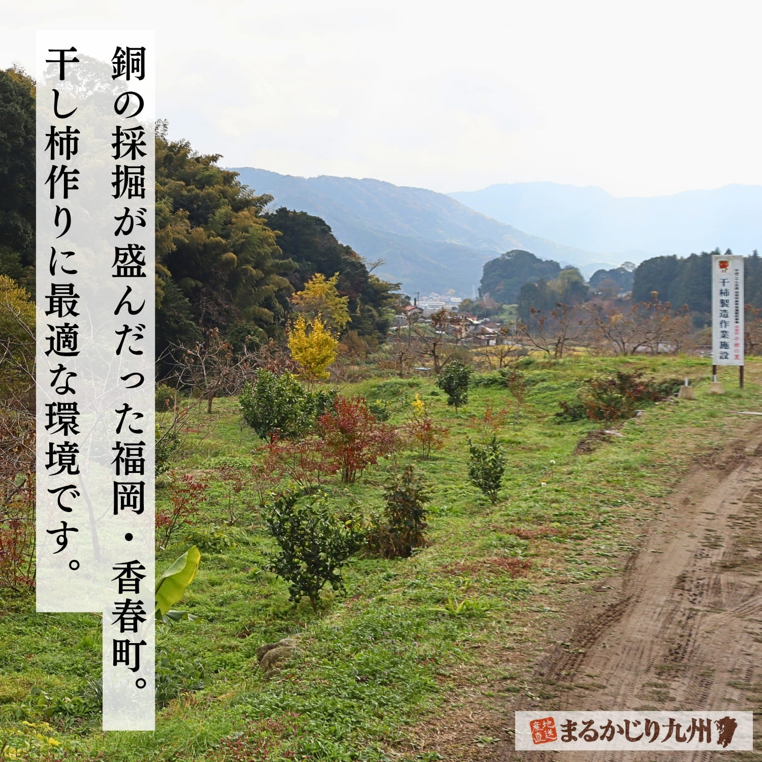 福岡県香春町の山々に囲まれた干し柿の産地風景