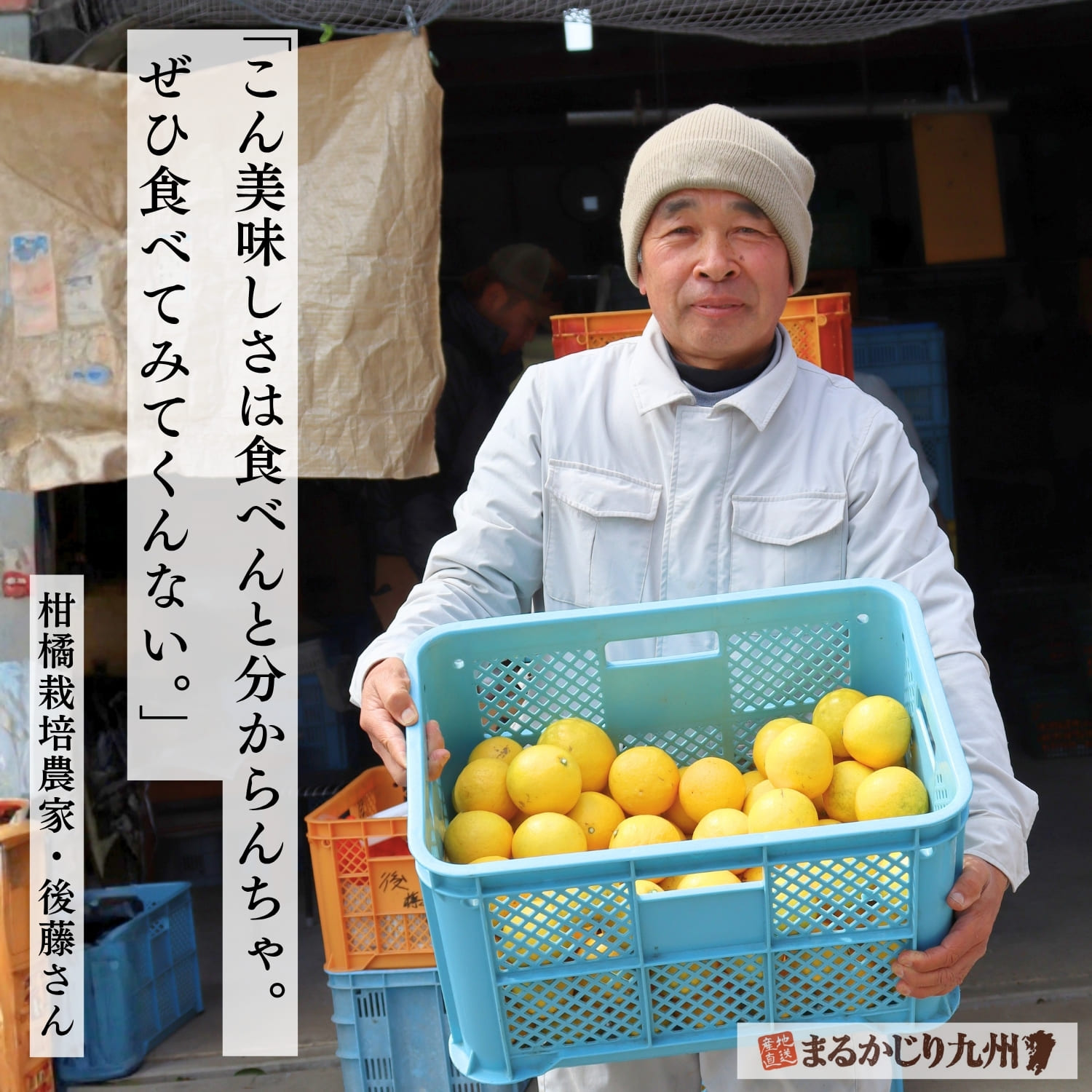宮崎県で種なし日向夏を栽培する契約農家の後藤さん