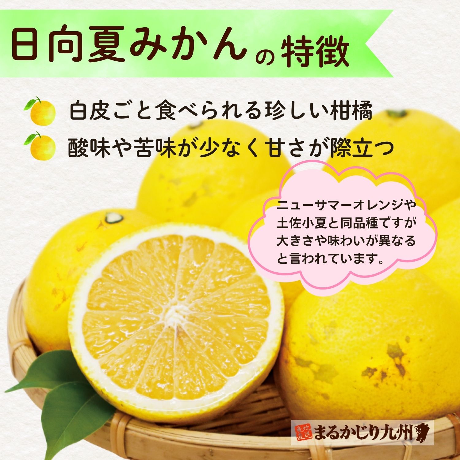 ニューサマーオレンジや土佐小夏と日向夏みかんは日向夏と同品種です