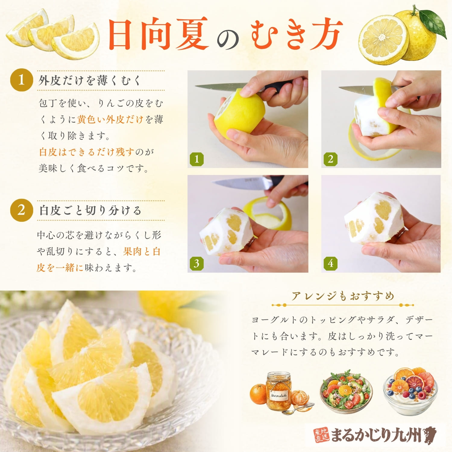 種なし日向夏の美味しい食べ方を紹介したインフォグラフィック