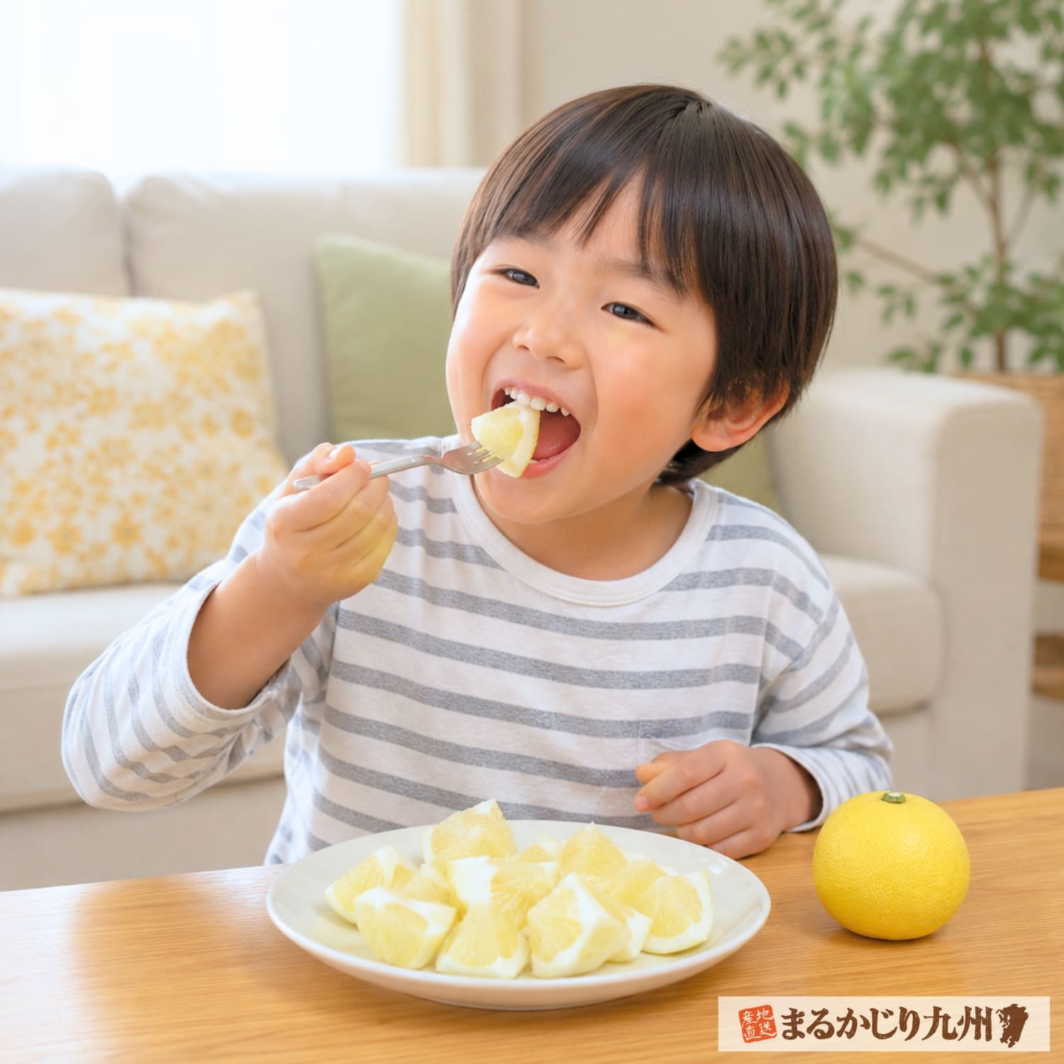 宮崎県産種なし日向夏を美味しそうに食べる日本人の子ども