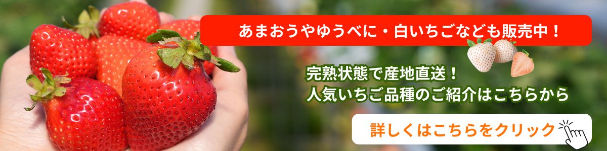 いちご特集リンク