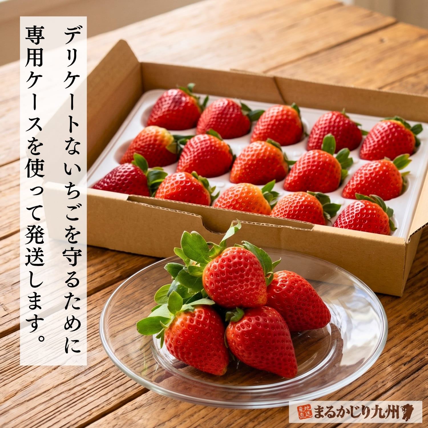 専用ケース「ゆりかーご」に入った佐賀県産いちごさん